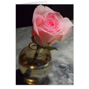 Rose Bud