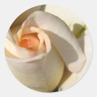 Rose bud Wedding Envelope Seal