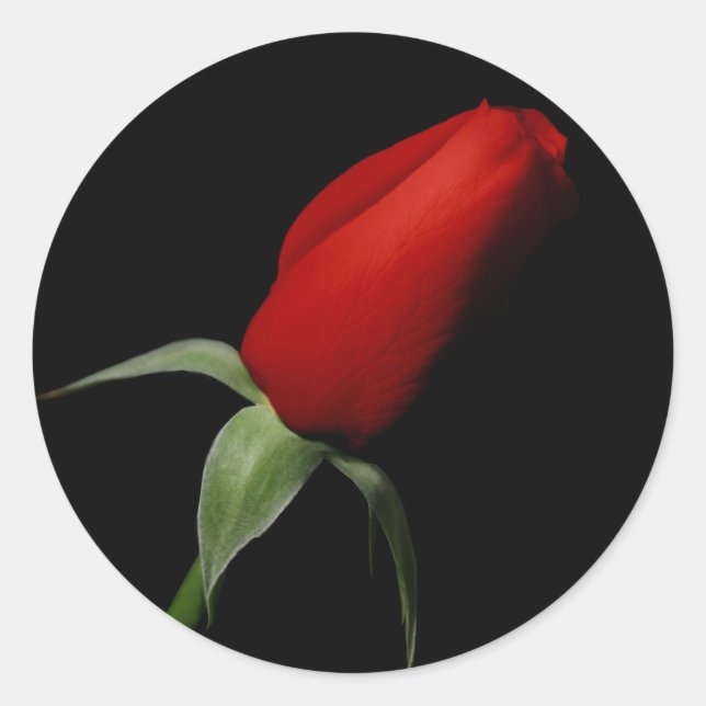 Rose Bud Wedding RSVP Invitation Envelope Seals (Front)