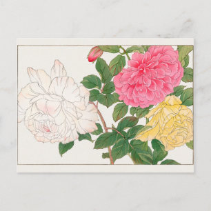 Rose by Tanigami Konan Postcard