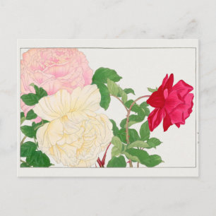 Rose by Tanigami Konan Postcard