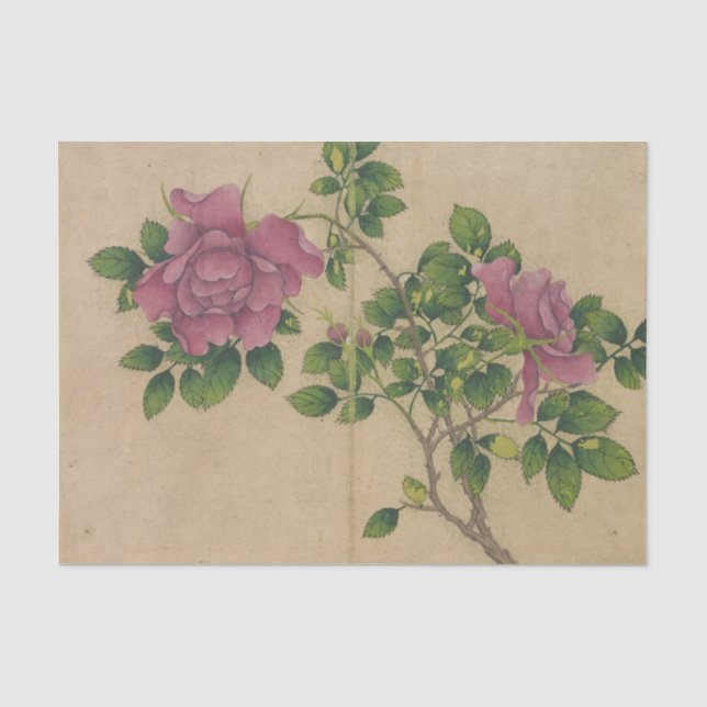 Rose by Zhang Ruoai Tissue Paper (Front)