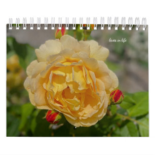 Rose  calendar