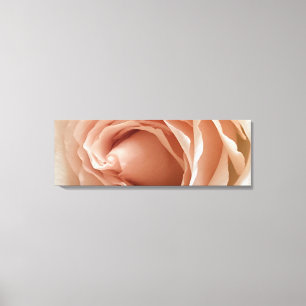 Rose Canvas Print