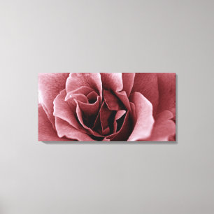 rose canvas print