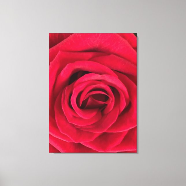 Rose Canvas Print (Front)