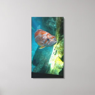 Rose Canvas Print