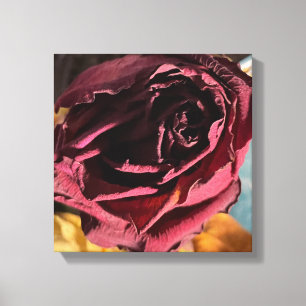 Rose Canvas Print