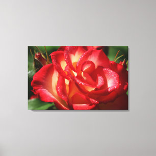 Rose Canvas Wrap Print