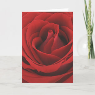 rose card