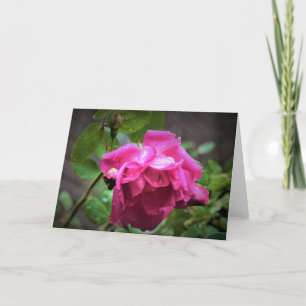 Rose, card