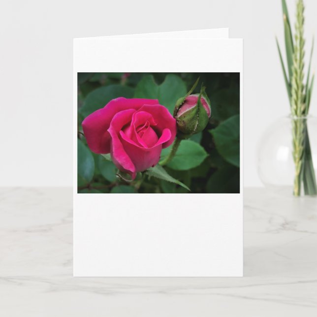 Rose, card (Front)