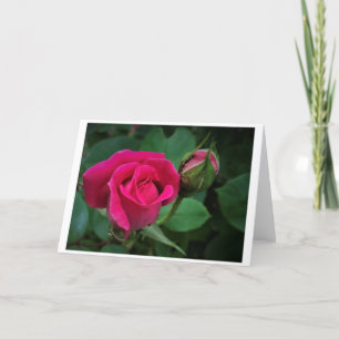 Rose, card