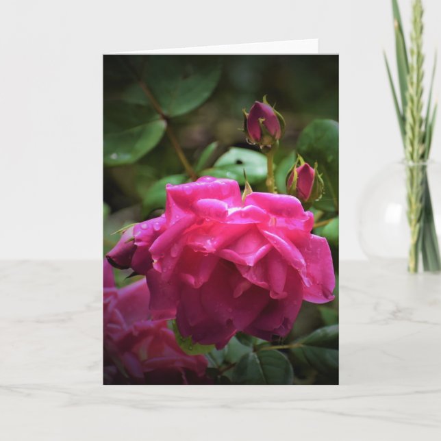 Rose, card (Front)