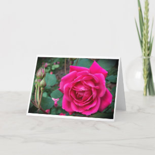 Rose, card