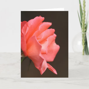 Rose Card
