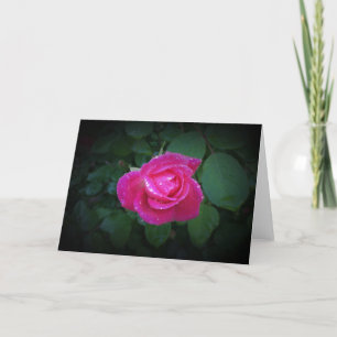 Rose, card