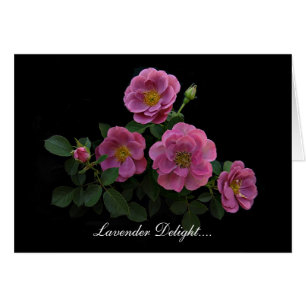 Rose Cards By Stan The Roseman