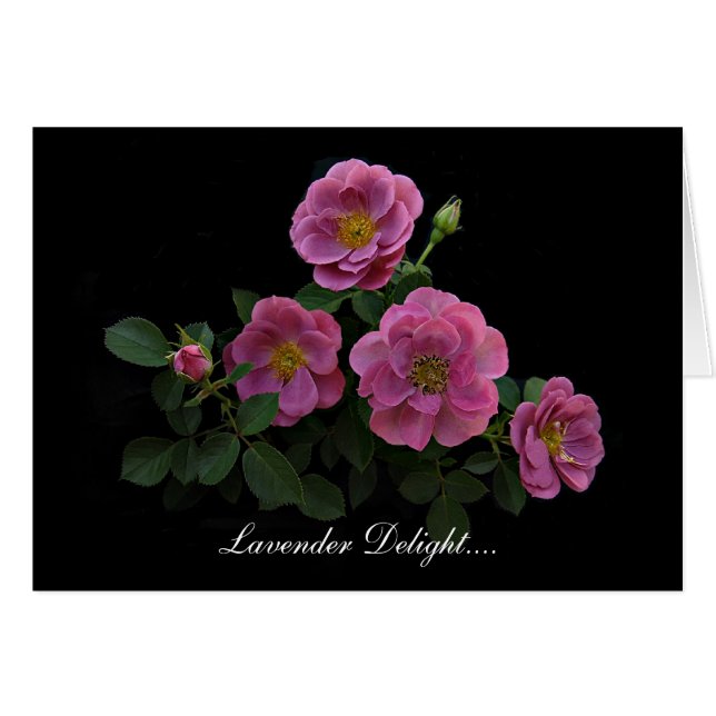 Rose Cards By Stan The Roseman (Front Horizontal)