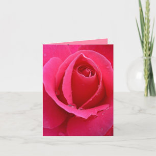 Rose Cards Pink Flowers Custom Greeting Card