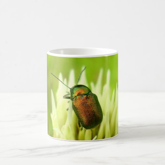 Rose Chafer Bug Mug (Center)