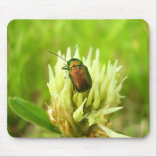 Rose Chafer Mouse Mat