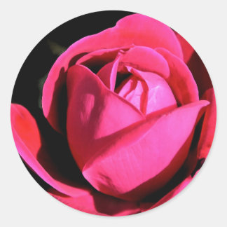 Rose Classic Round Sticker