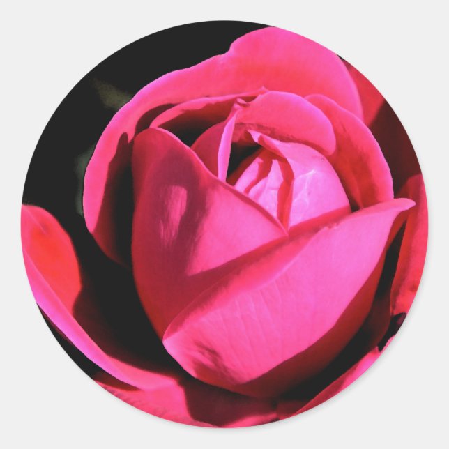 Rose Classic Round Sticker (Front)