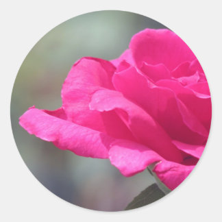 Rose Classic Round Sticker