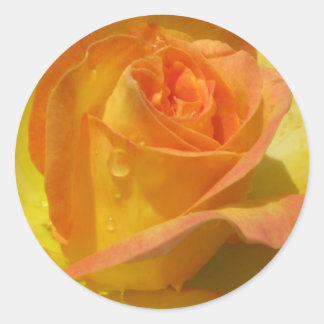 Rose Classic Round Sticker