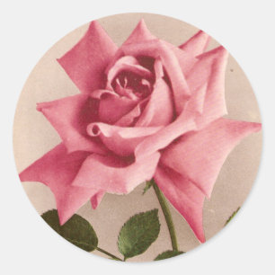 Rose Classic Round Sticker