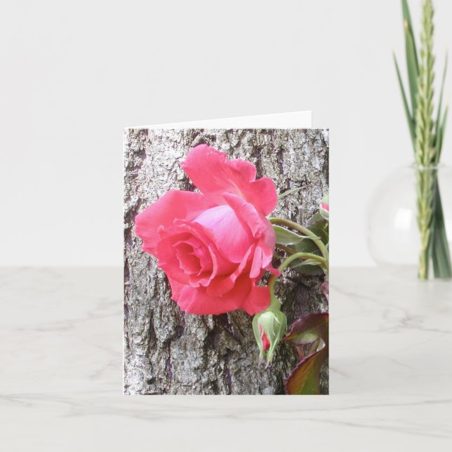 Rose Climbing on Tree greeting card (Front)