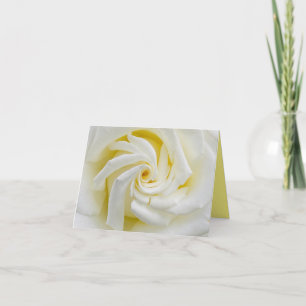Rose Close Up Card