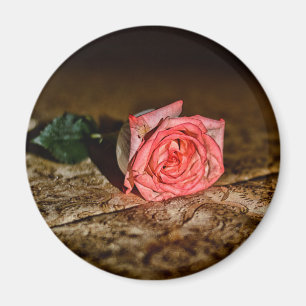 Rose Close-Up magnet