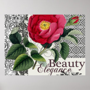 Rose Damask Pretty Floral Antique Poster