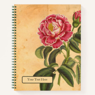 Rose de Provence Spiral Notebook