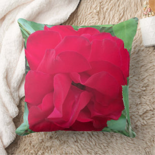 Rose délicate en photo cushion