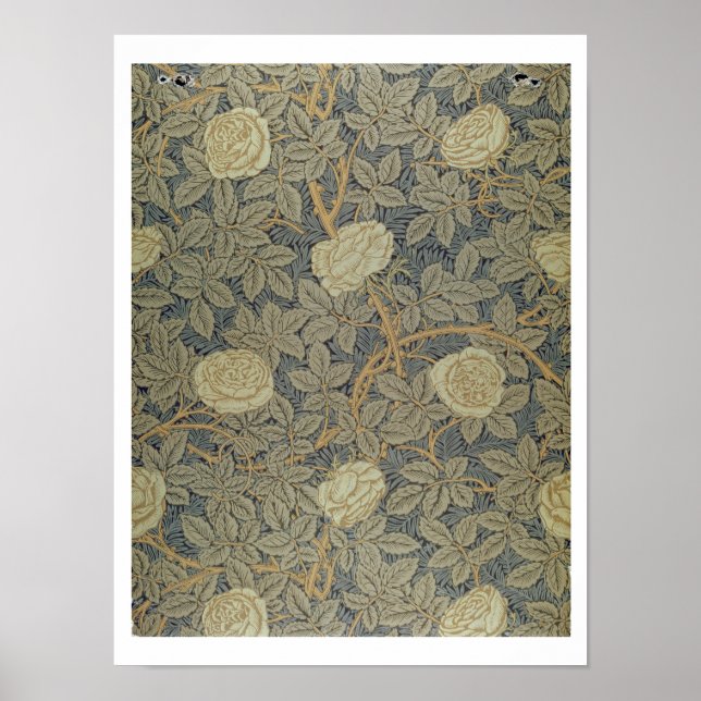 'Rose' design Poster (Front)