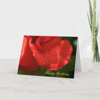 Rose dew birthday card