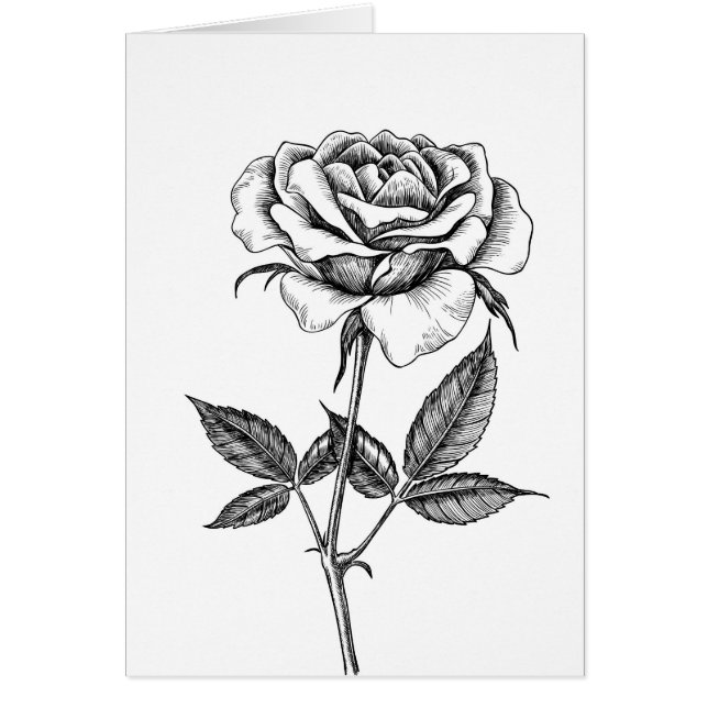 Rose drawing (Front)