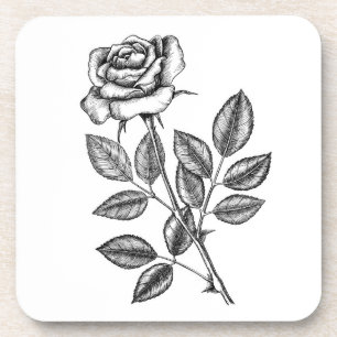 Rose drawing 2 coaster