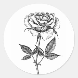 Rose drawing classic round sticker