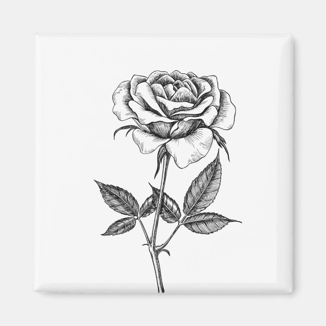Rose drawing magnet (Front)