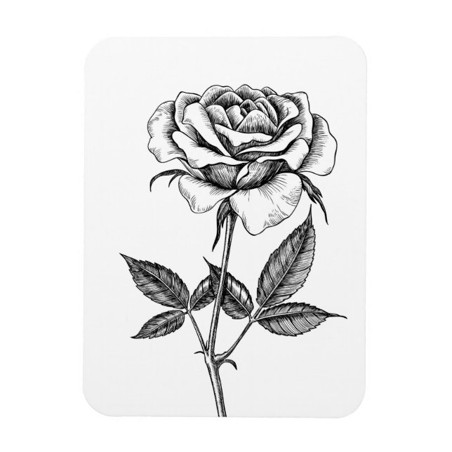 Rose drawing magnet (Vertical)