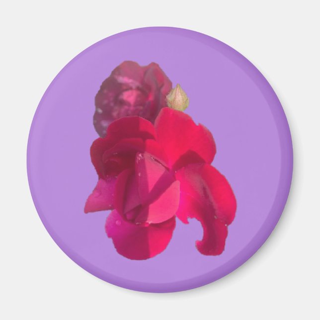 Rose E Magnet (Front)