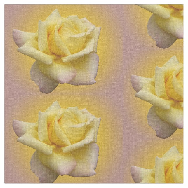 Rose Fabric Yellow Rose Fabric Cotton or Poly (Close Up)