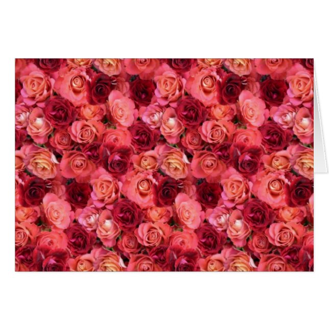 ROSE FIELD (Front Horizontal)