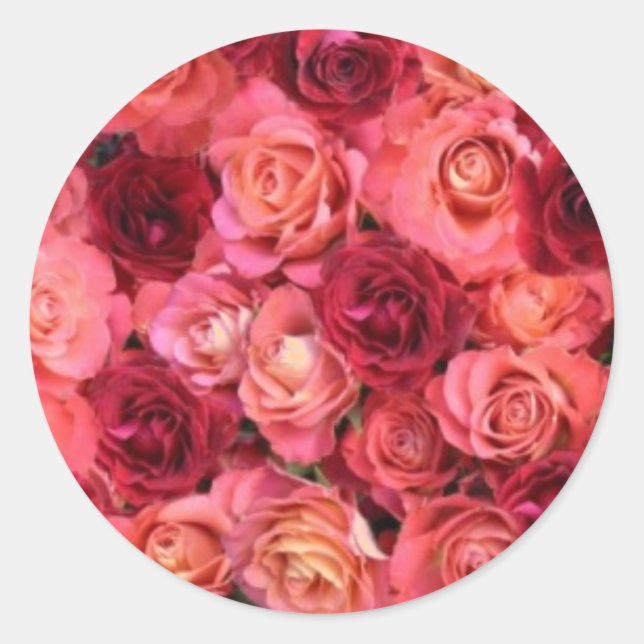 ROSE FIELD ,bright vibrant  red  pink Classic Round Sticker (Front)