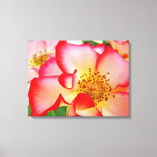 Rose Floral Garden Canvas Photography prints (Front)