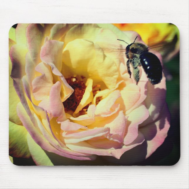 Rose Flower And Bumble Bee  Mouse Mat (Front)